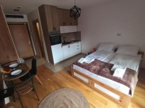 Studio apartman Gorski kristal